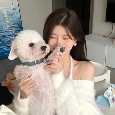 海豚之眼